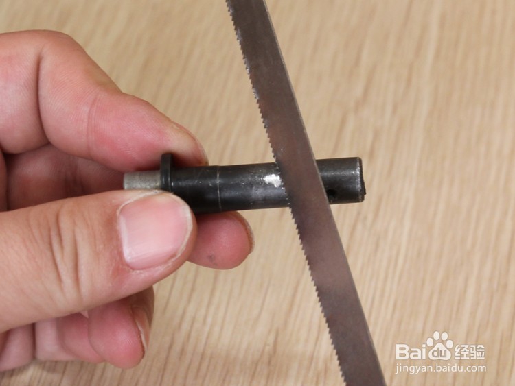 森林人标准版保罗双筒望远镜拆解图望远镜结构图