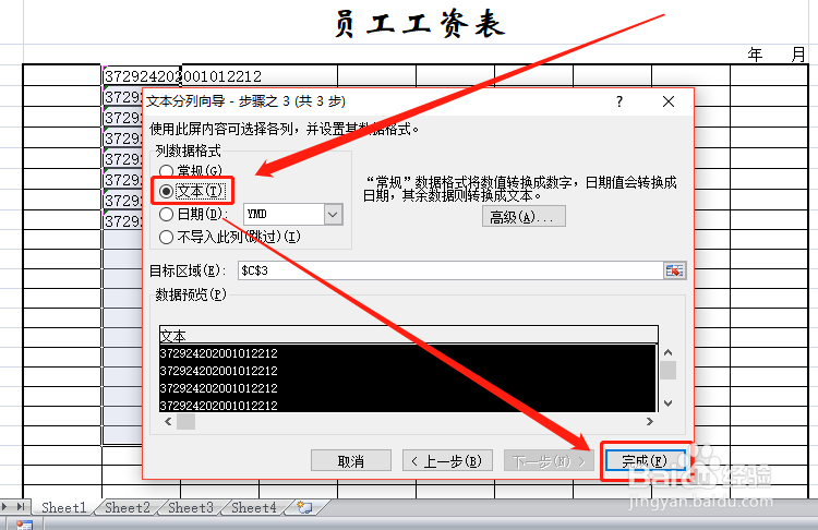 将单元格数字转化为文本格式的方法与技巧