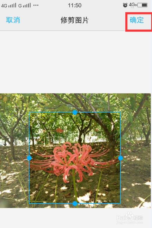 交友app头像的设置方法，怎么设置app头像