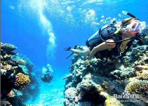 温馨美好的亲子旅行 凯特王妃产后出游计划