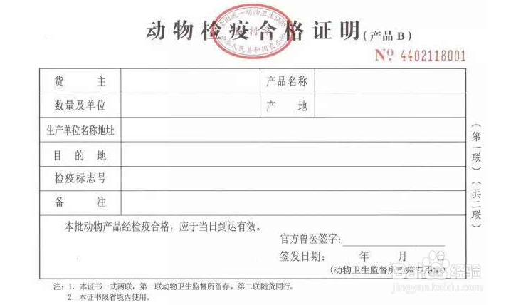 长途怎么携带宠物