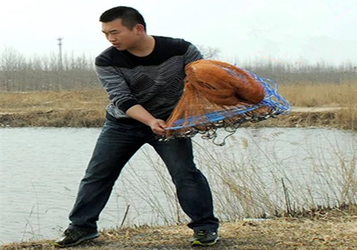 飞盘手抛网撒网教程