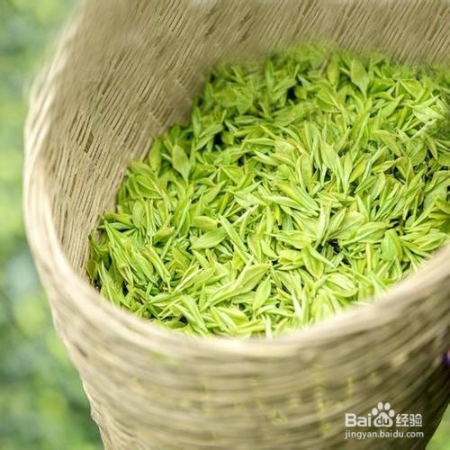 新茶与旧茶的鉴别