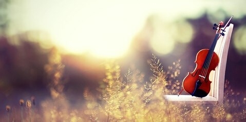 浅谈如何培养你沉稳的气质？