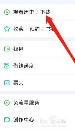 爱奇艺软件查看下载
