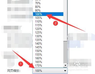 国搜浏览器如何设置网络页缩放比例