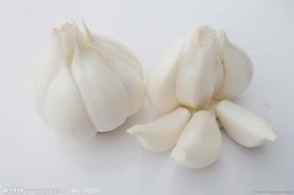 养生的方法：[1]（1）怎样吃好身体？