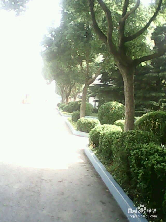 其实甪中是很美的