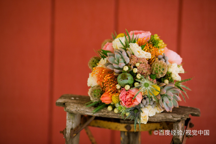 大红袍兰花怎么养