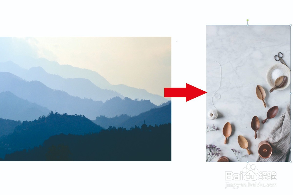 在Word中如何更换图片?