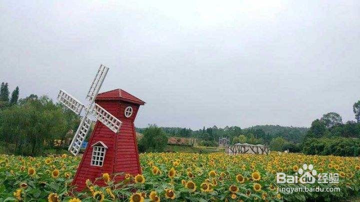 宜春市周边好玩的人气旅游景点推荐