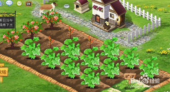 怎样下载qq农场