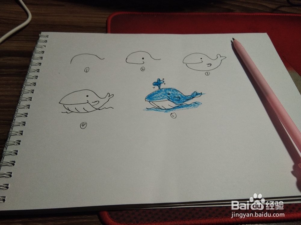 教宝宝画简笔画，海豚