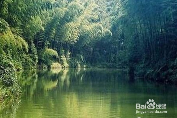 夏天四川的避暑胜地攻略