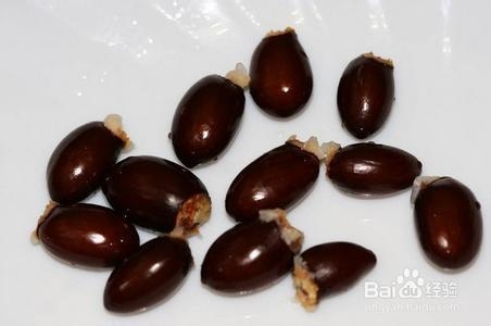 春季治疗糖尿病妙方