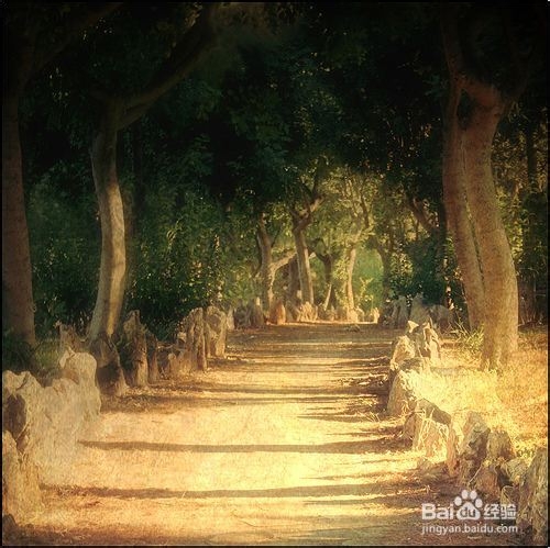 面对压力怎么办?