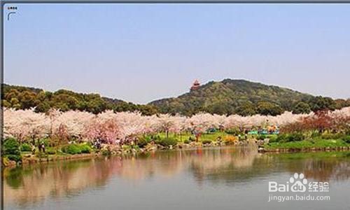 岳西旅游攻略自驾游