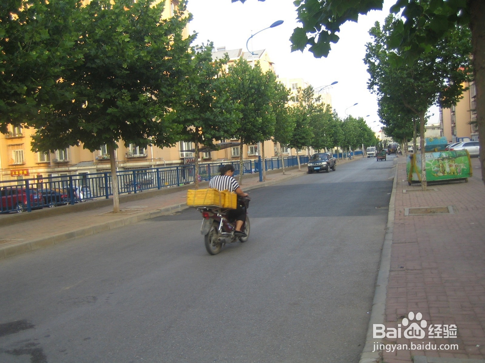 怎样告诉孩子安全过马路--56