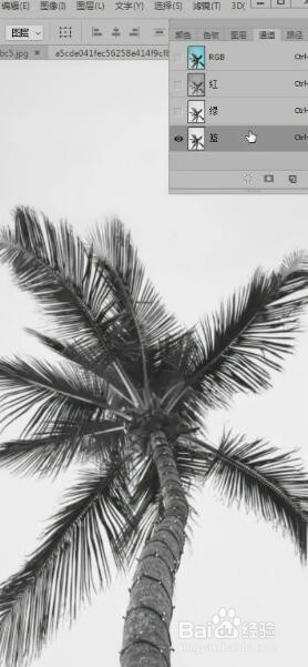 如何用ps进行抠图？