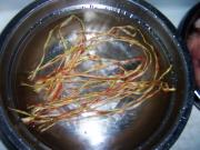 五花肉怎样吃-五花肉炖西瓜皮