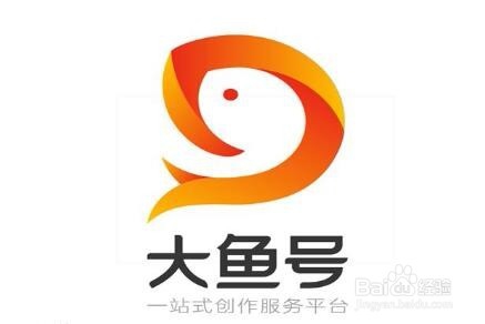 自媒体大鱼号怎么快速转正开通收益