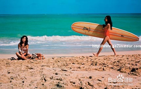 夏威夷最热景点排行