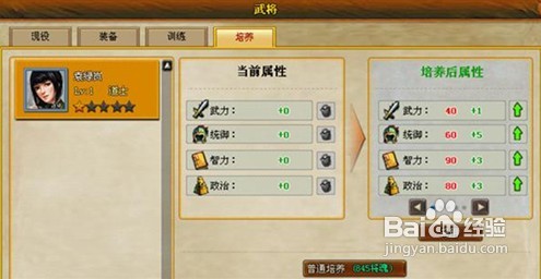 三国风云2武将培养玩法全解