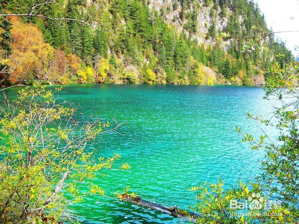 国内浪漫的5大蜜月地