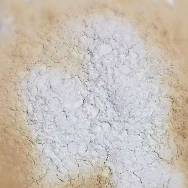 正宗广式枣泥月饼