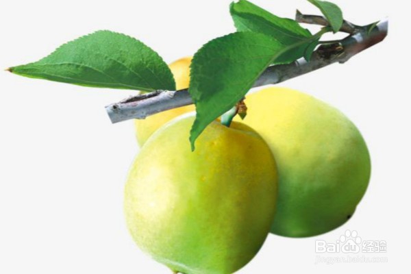 吃青梅可以给身体带来的8个好处