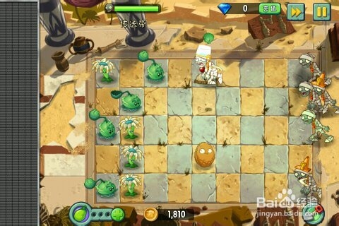 植物大战僵尸2：神秘埃及传送带