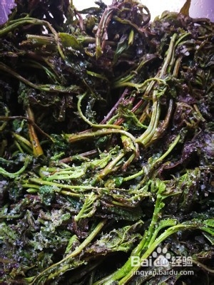 健康养生佳品腌香椿芽（简单易学）的做法