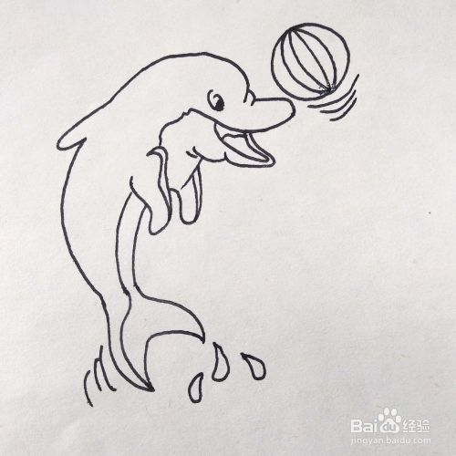 怎么画一个正在玩耍球的海豚卡通简笔画 百度经验