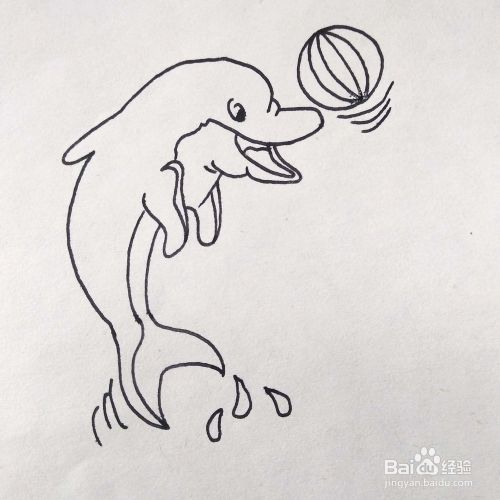 怎么画一个正在玩耍球的海豚卡通简笔画 百度经验 怎么画一个正在玩耍球的海豚卡通简笔画 百度经验
