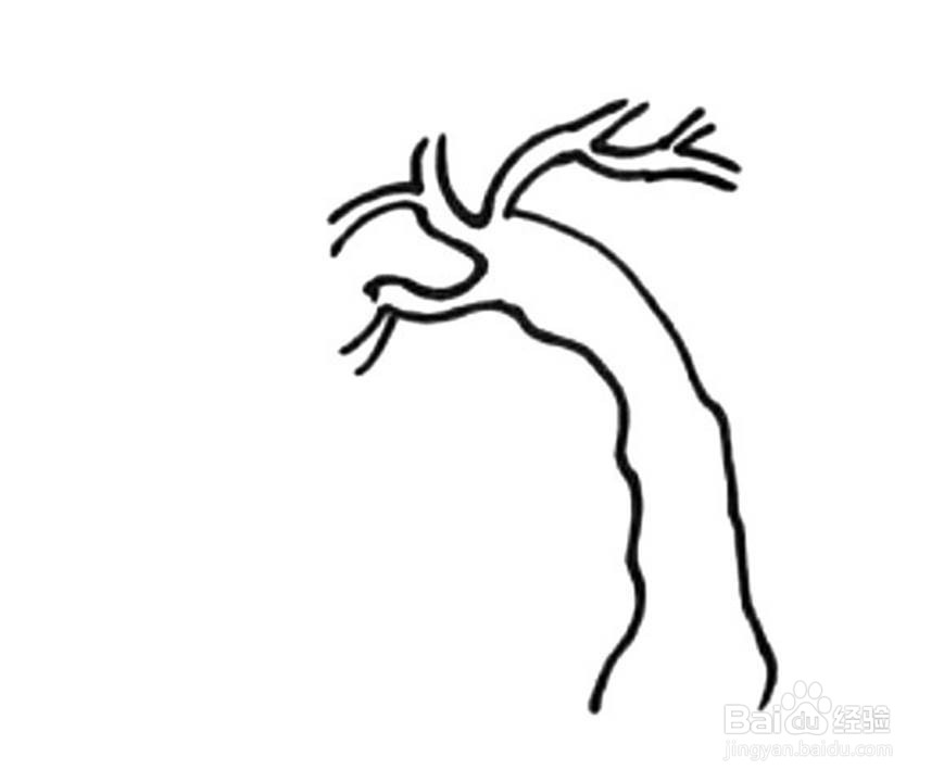 杨柳树的儿童卡通简笔画教程