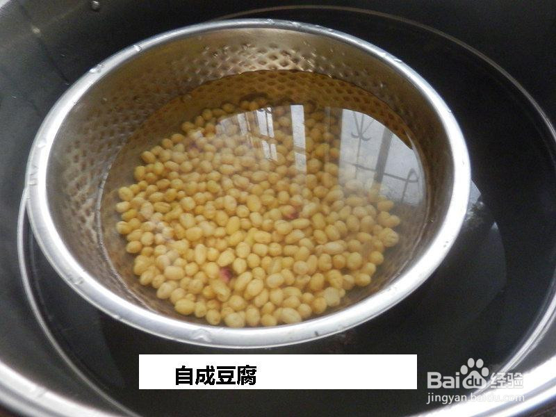 自成豆腐的做法