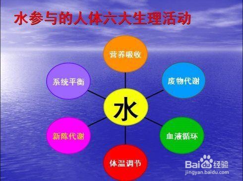 每天多喝水的好处?