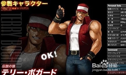 拳皇13特瑞使用心得 技能说明及战术详解