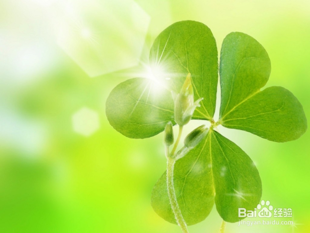 关注身体健康，五脏积毒症状你都知道吗？