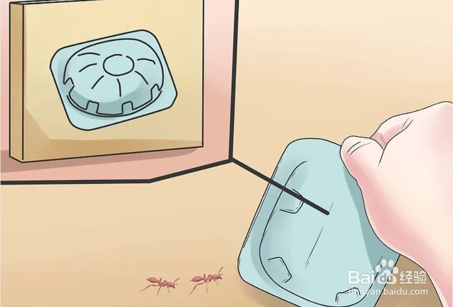 别墅白蚂蚁怎么消灭