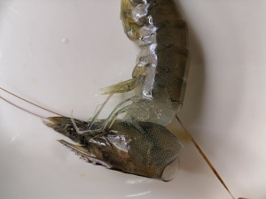 教你做陈皮糖醋烤大虾