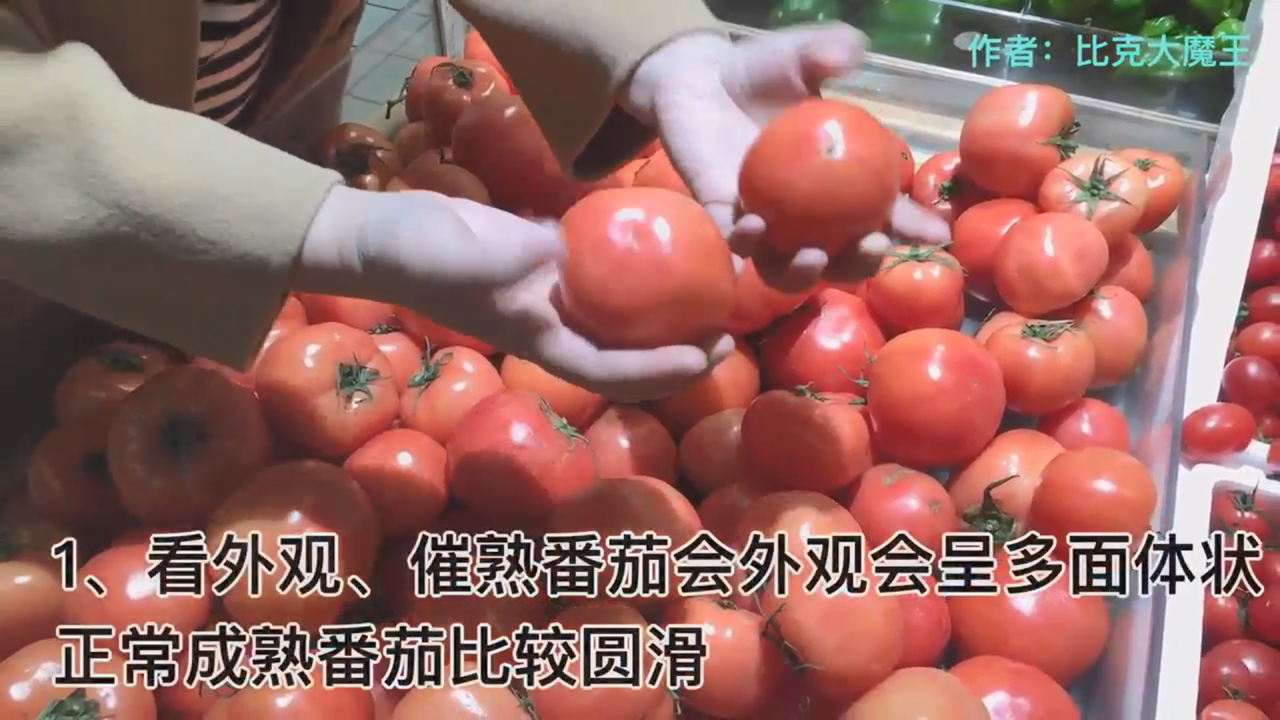 怎么挑选番茄