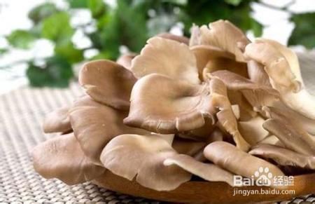平菇不同食用搭配效果真是相差太大了!
