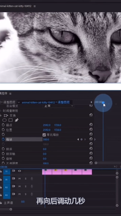 教你pr制作缩放卡点效果
