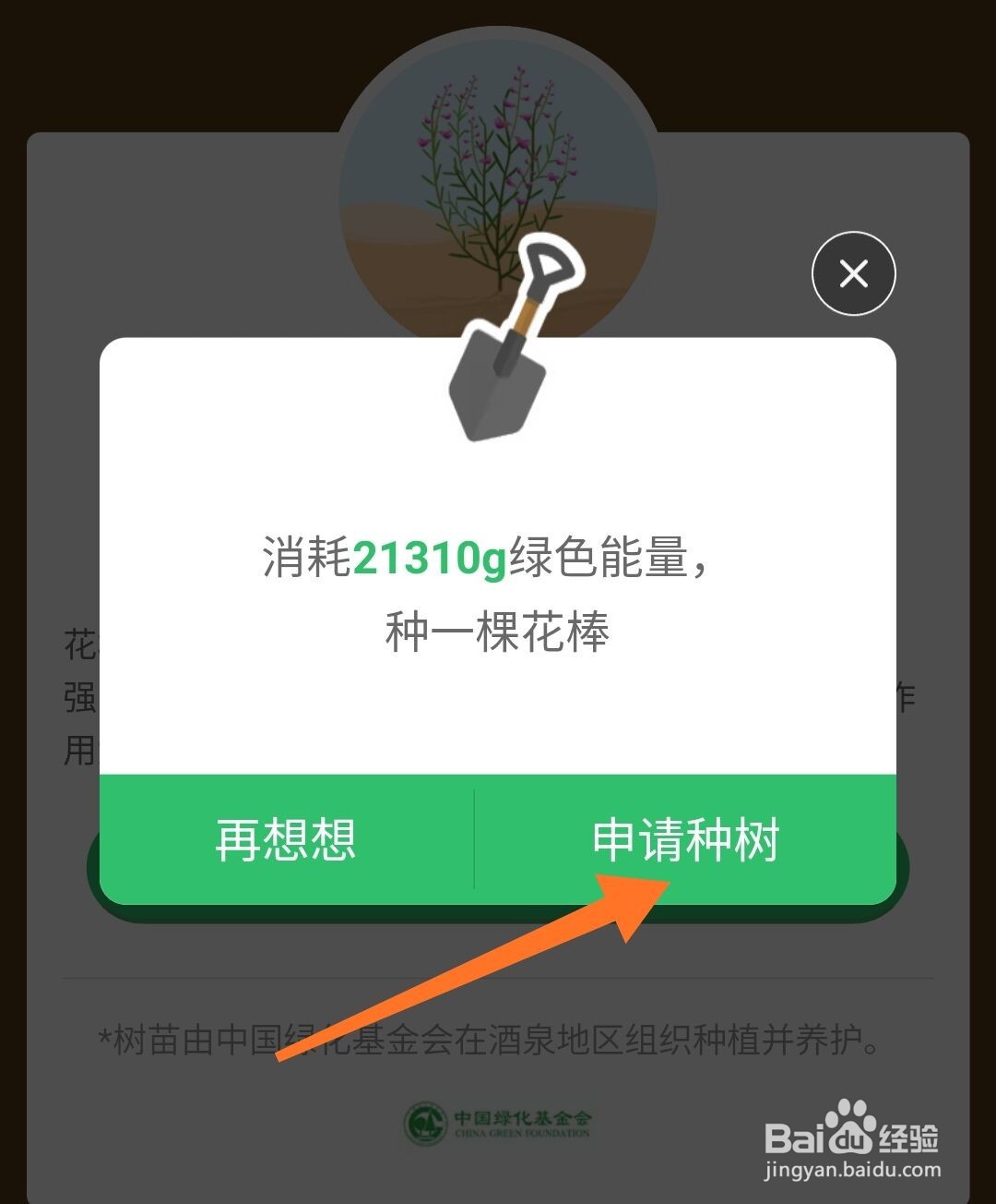 蚂蚁森林怎么种树