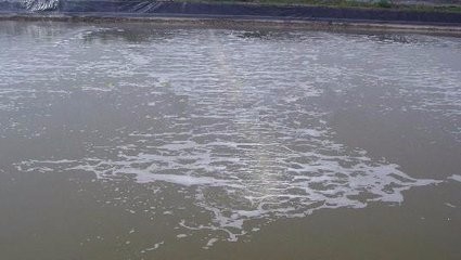 怎样来选择增氧设备