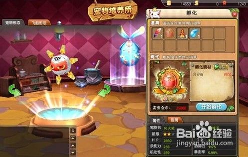 《天宠岛》宠物如何获得与孵化