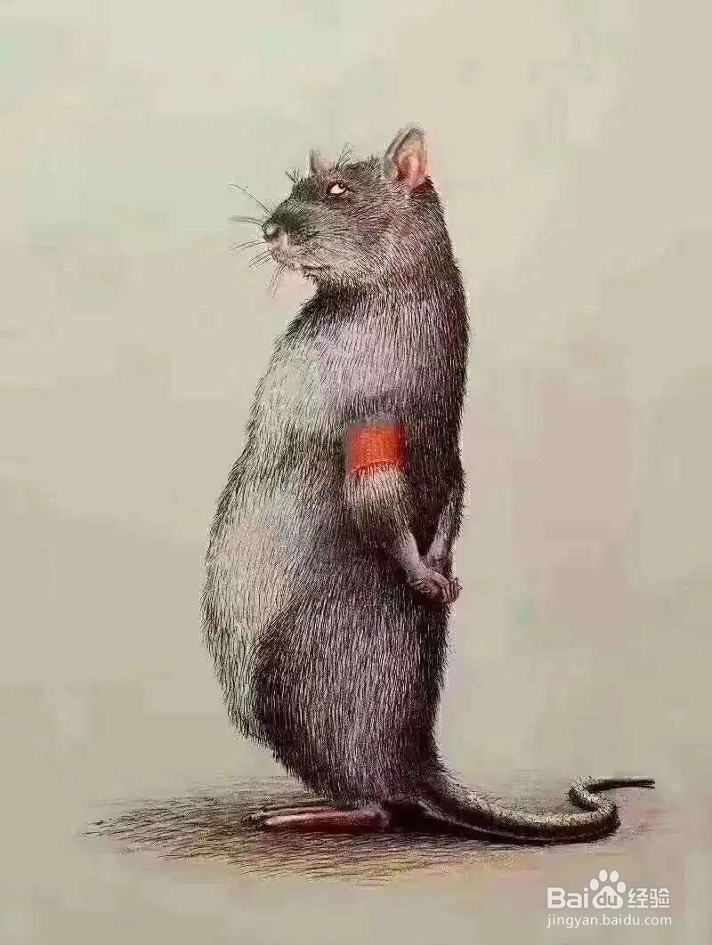 高二选科怎么选