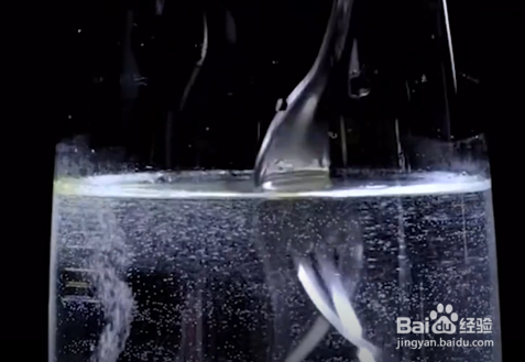 教你几个超神奇小实验