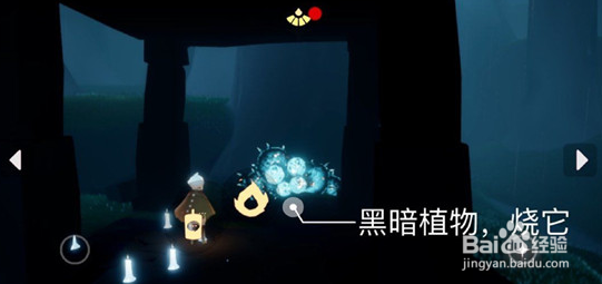 光遇12.16任务攻略大全